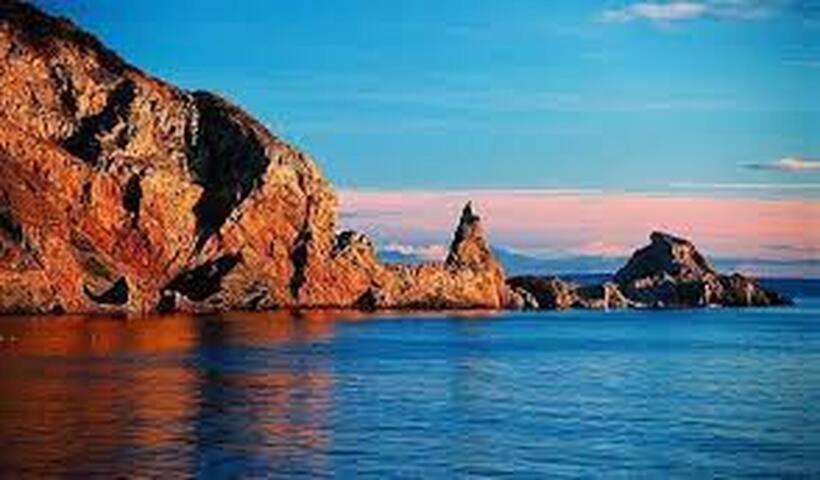 Halekulani Devon Homestay Torquay Ngoại thất bức ảnh