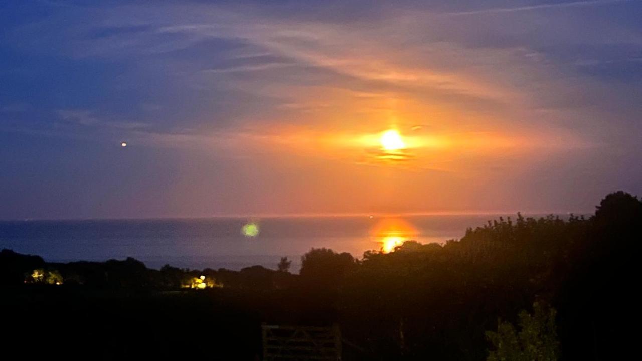 Halekulani Devon Homestay Torquay Ngoại thất bức ảnh